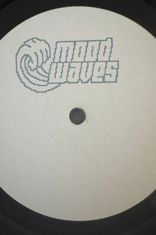 Vinyl Record Mood Waves 10 Ilkay Yeler