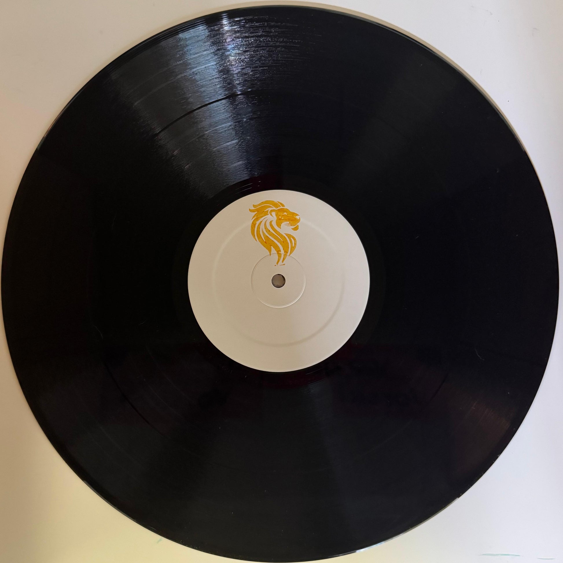 A vinyl record with house music and a label in the center featuring an orange lion's head.