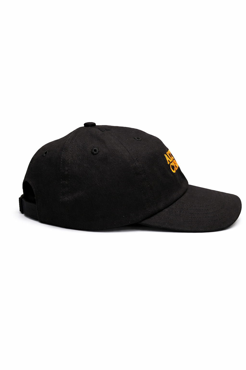 Altered Circuits Cap - (Orange)
